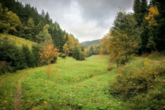 Schönbrunn Hühnersbach