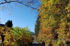 Schönbrunn Schwarzer Weg