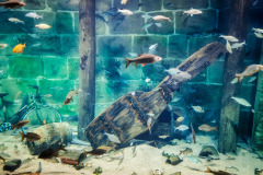 IMG_20191004_104455-01