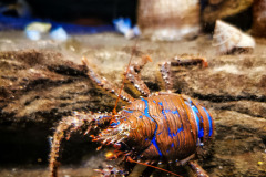 IMG_20191004_105417-01