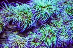 IMG_20191004_105523-01