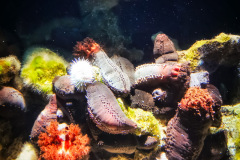 IMG_20191004_111614-01