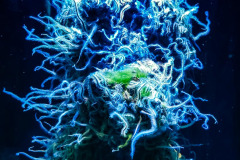 IMG_20191004_111631-01