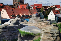 IMG_20191004_112311-01