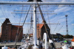 IMG_20191004_121854-01