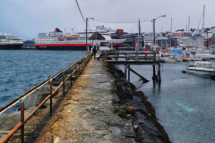 IMG_20230128_103045-01