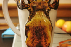 IMG_20230128_164853-01