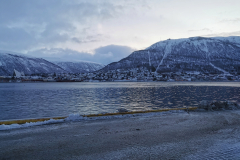 IMG_20230129_094439-01