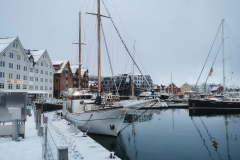 IMG_20230129_100251-01