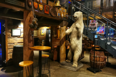 IMG_20230129_163514-01