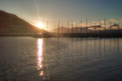 IMG_20230130_121448-01