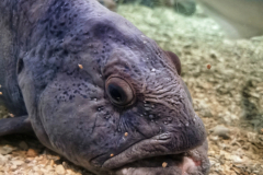 IMG_20230130_123612-01