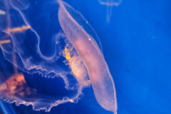 IMG_20230130_124200-01