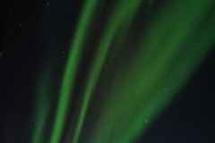 IMG_20230130_221047-01