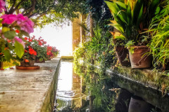 IMG_20190926_103017-01